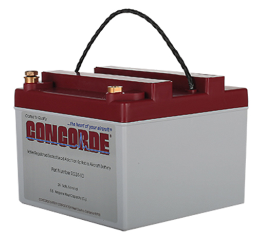 Concorde Battery RG24-10 24V 9AH