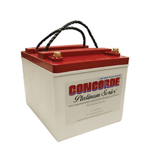 Image ofConcorde Battery RG-325