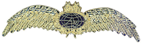 Image 0 of Pilots Wings Brooch