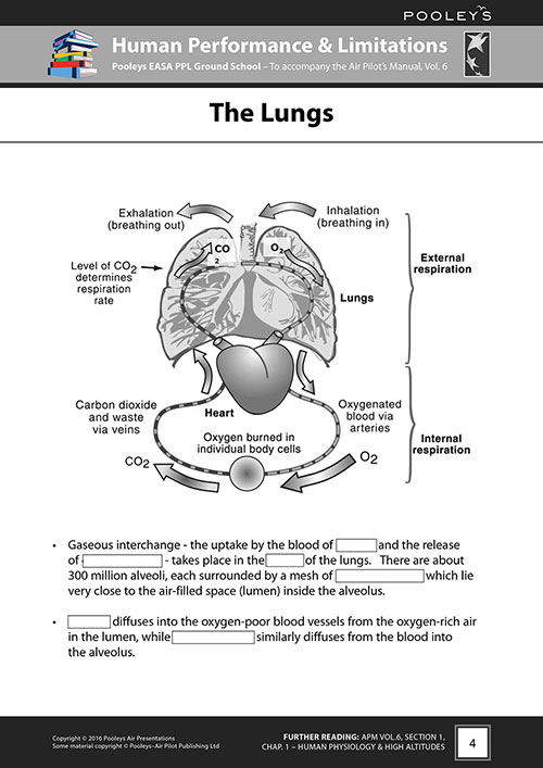 Pooleys Air Presentations – Human Performance & Limitations Student Pilot's Work Book (b/w, with spaces for answers)Image Id:48077