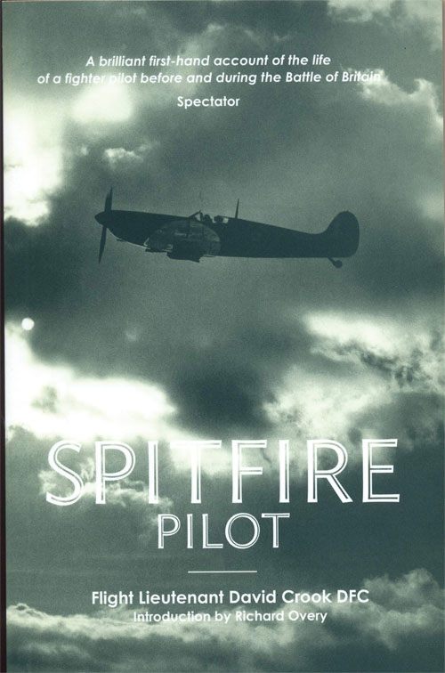 Image 0 of Spitfire Pilot