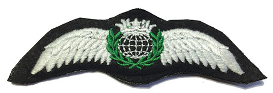 Image ofPilots Wings – Silver Cotton 115mm