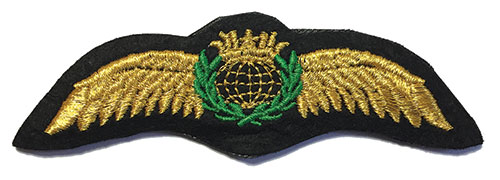 Image 0 of Pilots Wings – Gold Wire 115mm