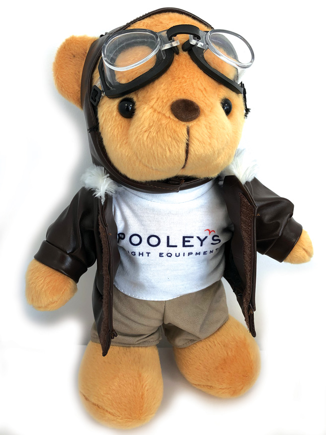 Image 1 of Flying Bear - Large