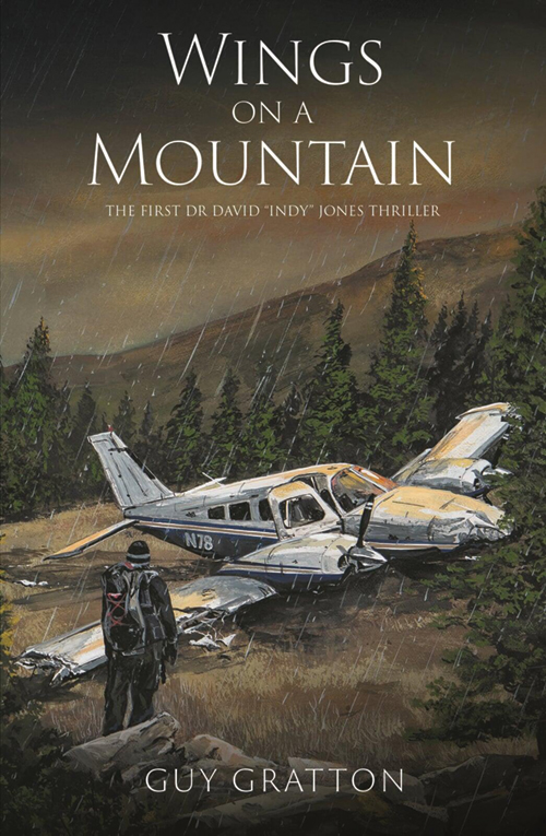 Image 1 of Wings on a Mountain by Guy Gratton
