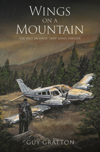 Image ofWings on a Mountain by Guy Gratton