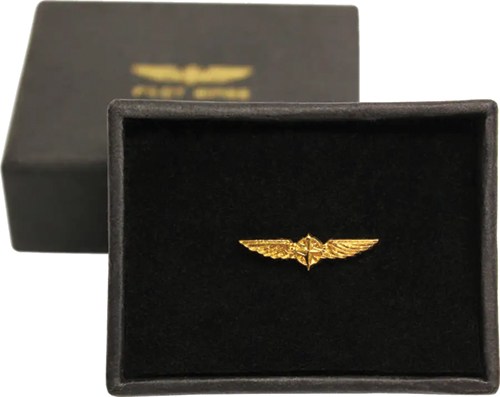 Image 0 of Pilot Wings Small Brooch 1.5cm